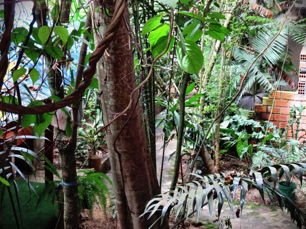Hospedaje Ecologico Purma Wasi Tarapoto Εξωτερικό φωτογραφία