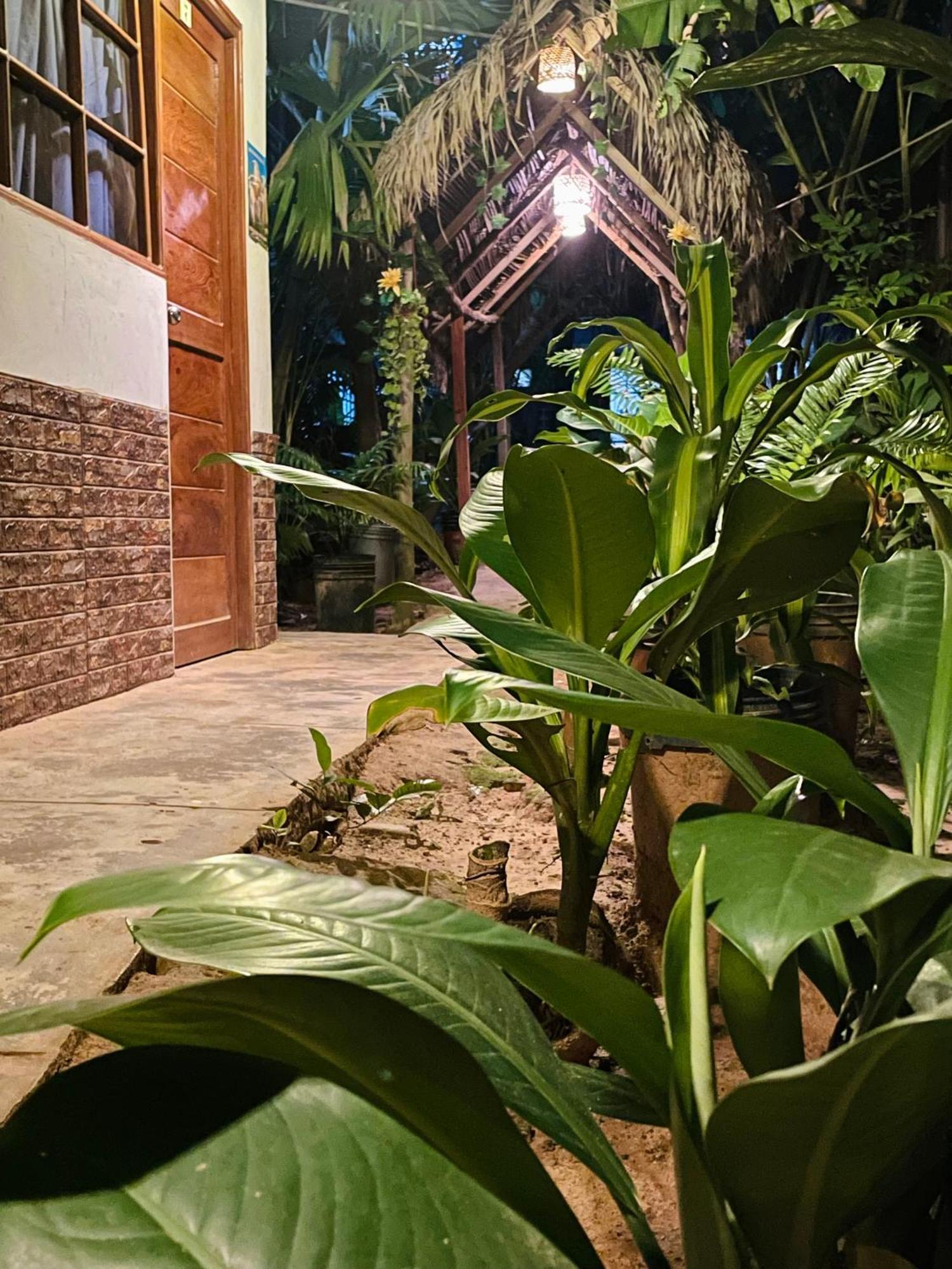 Hospedaje Ecologico Purma Wasi Tarapoto Εξωτερικό φωτογραφία