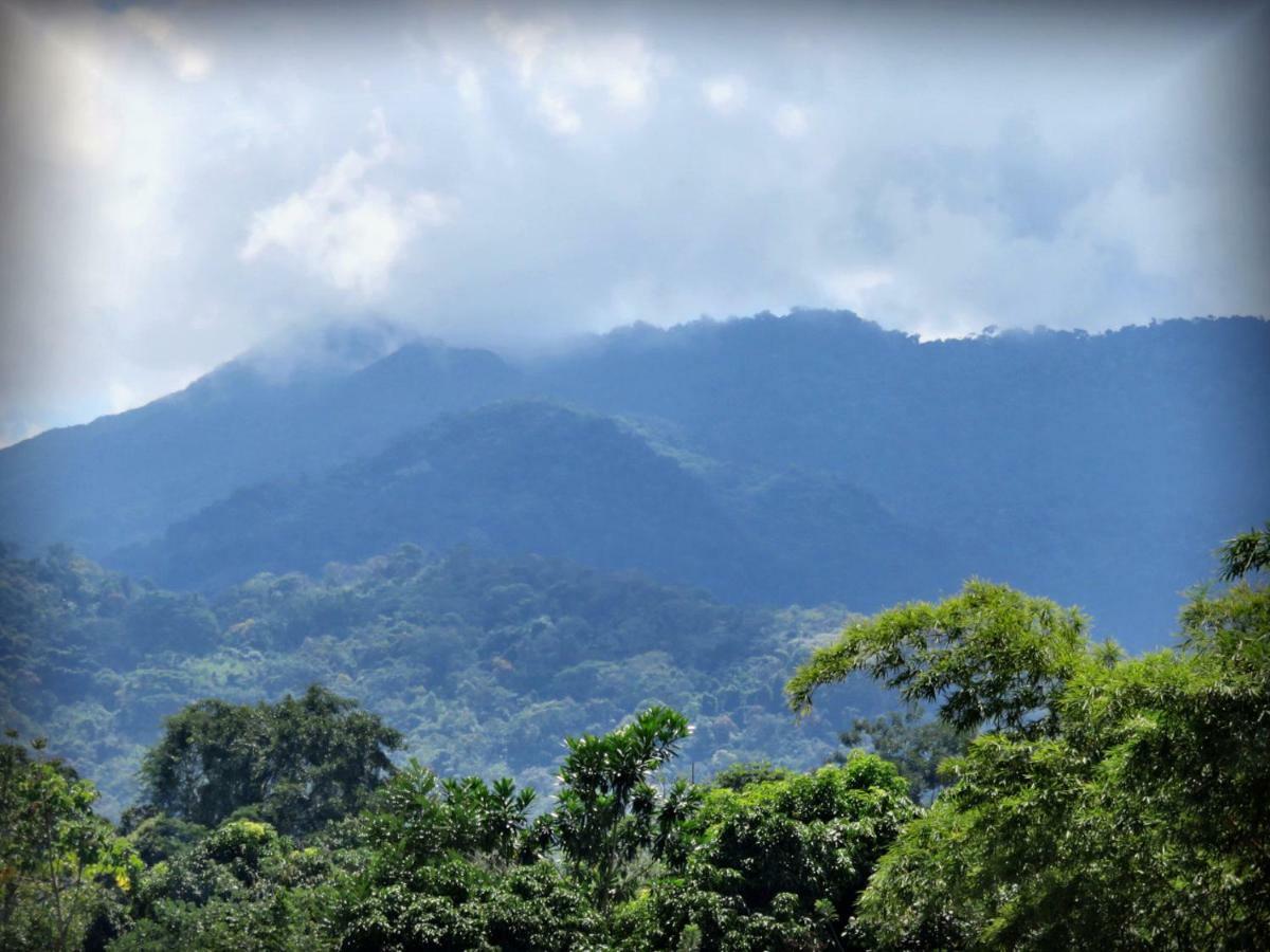 Hospedaje Ecologico Purma Wasi Tarapoto Εξωτερικό φωτογραφία